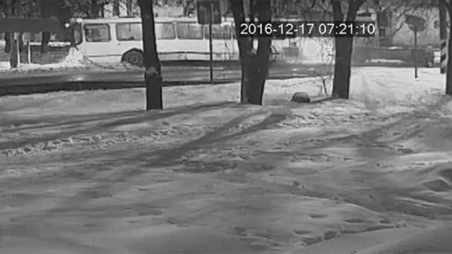 Дтп с автобусом и фурой в Вышнем Волочке 17 декабря 2016